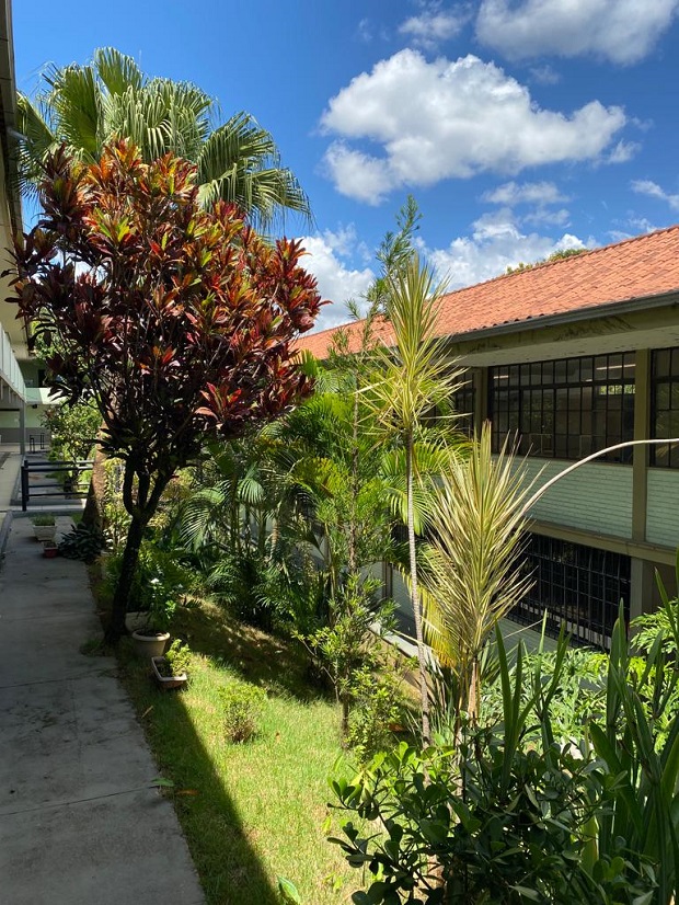 Escola Estadual Geraldo Teixeira da Costa irá implementar o Novo Ensino Médio a partir desse ano. Foto: Arquivo da Escola